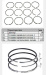картинка Nissan sd25     кольца поршневые   std от магазина IZC